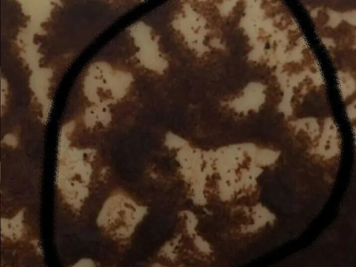 Записаться на прием к лучшей гадалке в Санкт-Петербурге